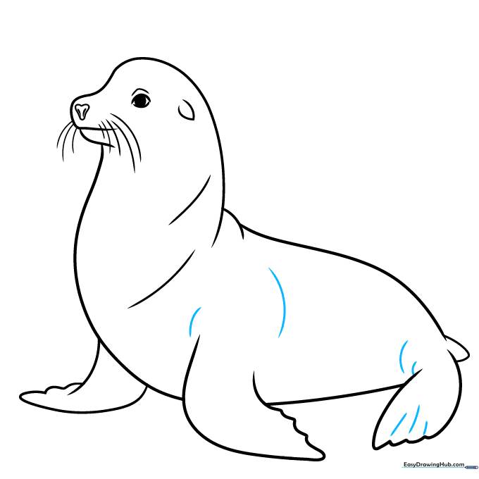 Finalizing the sea lion outline by cleaning up lines and adding texture.