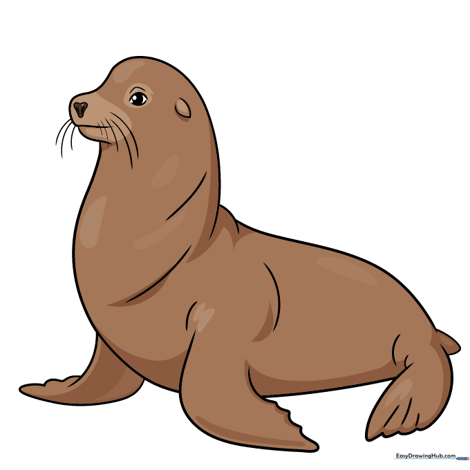 A fully colored, cute cartoon sea lion.