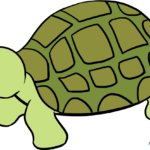 A colorful, finished sea turtle illustration, perfect for kids to use as a reference.