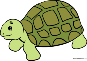 A colorful, finished sea turtle illustration, perfect for kids to use as a reference.