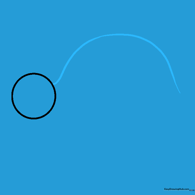 A curved line extending from the head to form the top of a turtle shell.