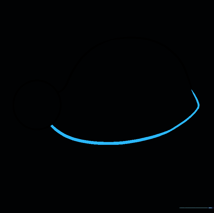 The completed outline of a sea turtle shell connected to the head.