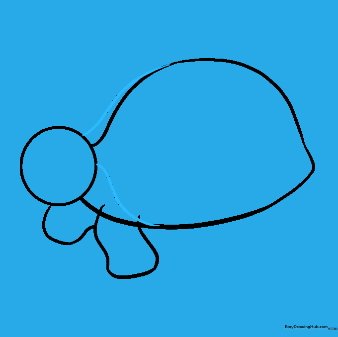 The neck lines connecting the turtle head to the shell body.