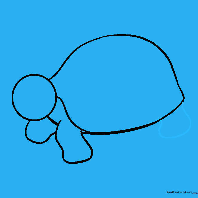 The addition of smaller rear flippers to the turtle's body.