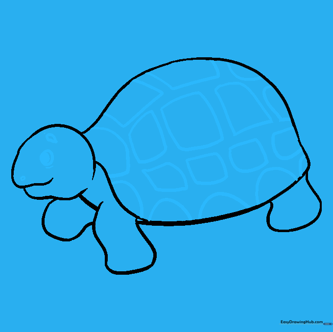 The finished line art of the sea turtle with eye, nostril, and shell pattern details.