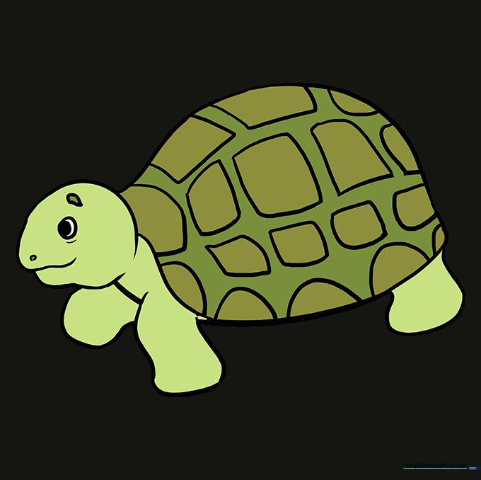 A fully colored sea turtle drawing with green and brown tones.