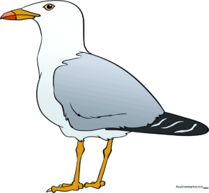 A friendly, finished seagull drawing standing on the beach, ready for coloring.