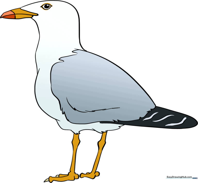 A friendly, finished seagull drawing standing on the beach, ready for coloring.