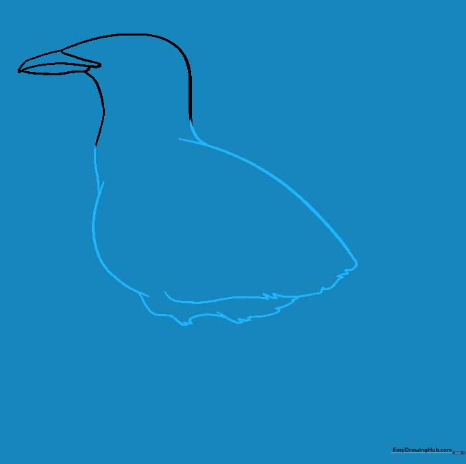 Adding the main body shape with feathered texture details.