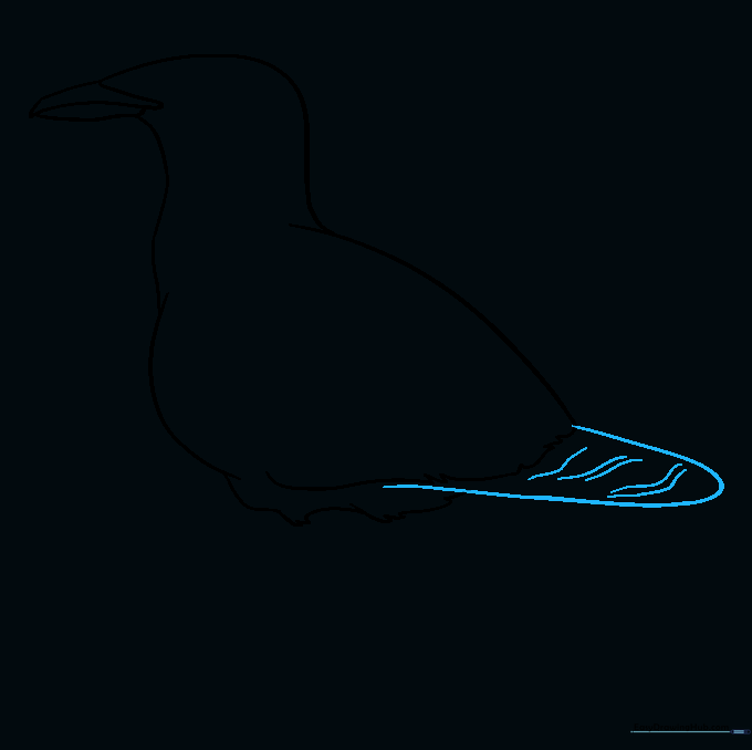 Sketching the tail feathers using curved lines.