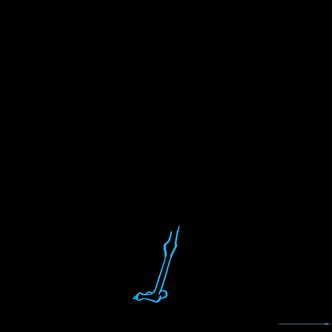 Detailed illustration of the seagull's leg and foot with claw details.