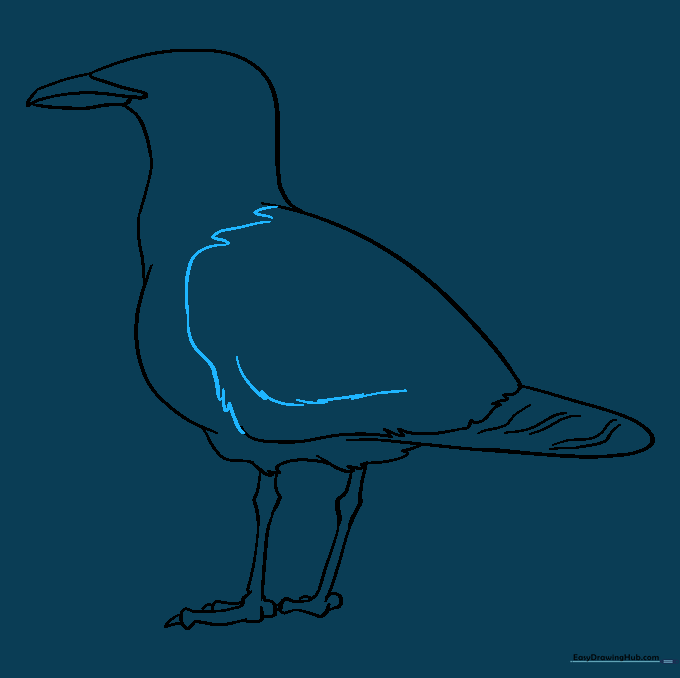 Adding wing details and feather textures to the seagull's back.