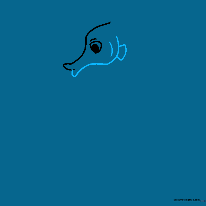 Drawing the seahorse snout and a small pectoral fin near the gill area.