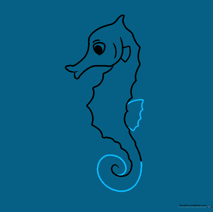 Drawing the dorsal fin and completing the spiral tail of the seahorse.