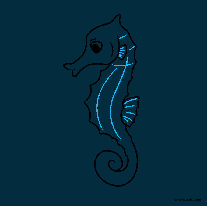 Adding grid-like texture lines to the seahorse body and detail lines to the fins.