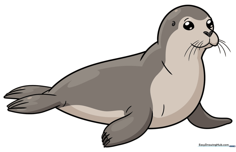A friendly cartoon seal illustration, perfect for kids to learn drawing.