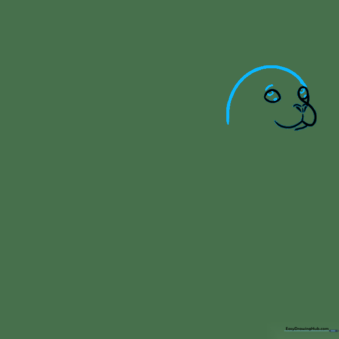Adding the top of the seal's head and expressive eyebrows.
