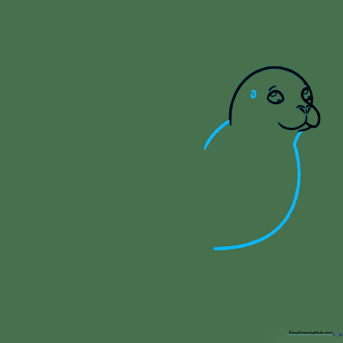 Sketching the seal's ear and the long, graceful curve of its back and belly.