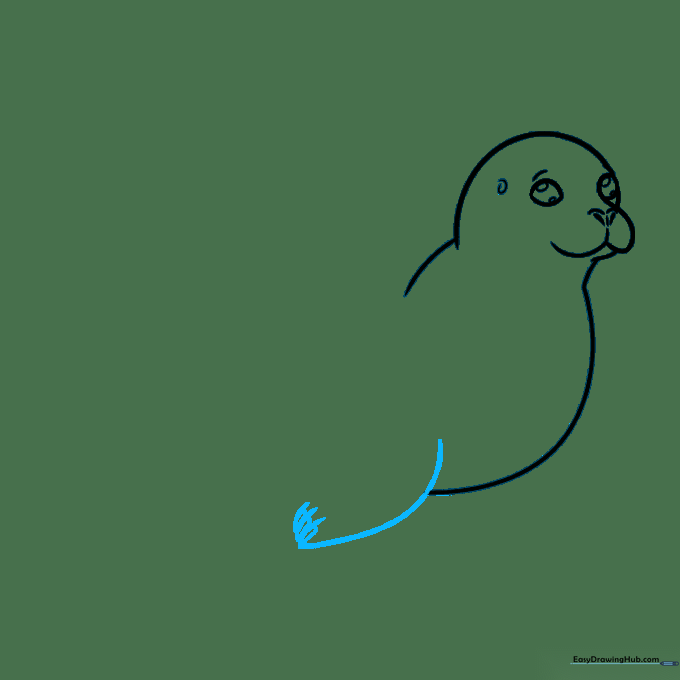 Detailing the seal's front flipper with toes and small claws.