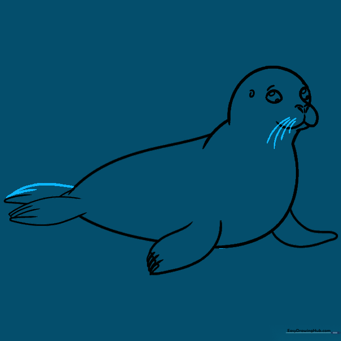 Adding long, thin whiskers to the seal's face.