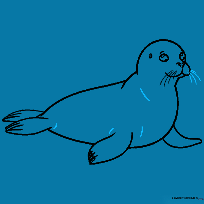 Finalizing the seal's outline and adding whiskers to the second side.