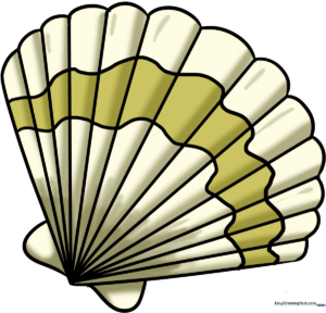A colorful, finished seashell drawing displayed as a featured art project for kids.