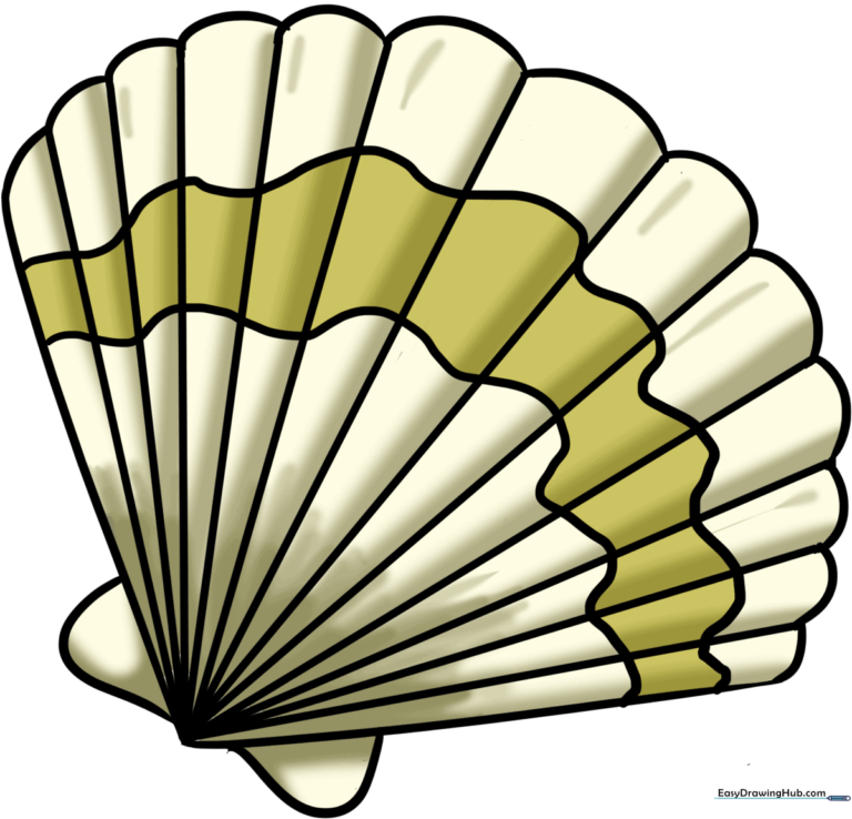 A colorful, finished seashell drawing displayed as a featured art project for kids.