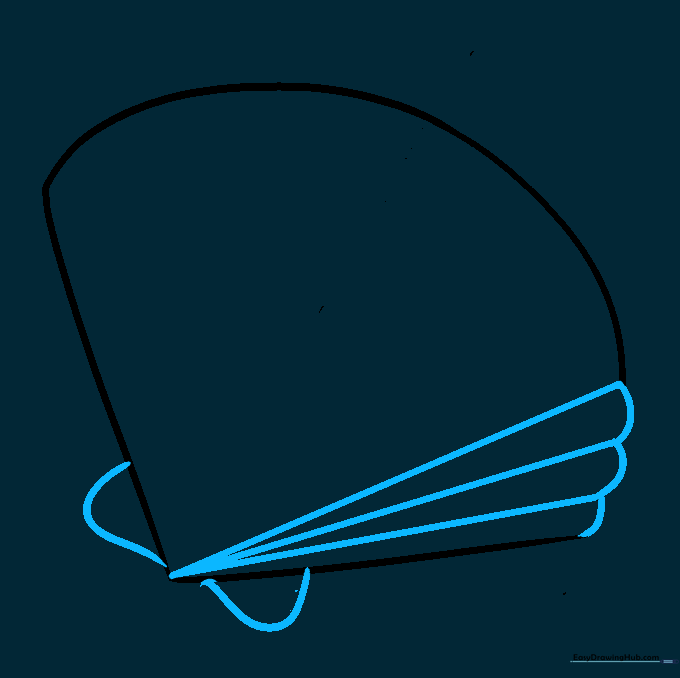 Adding C-shaped curves and radiating lines to the base of the seashell drawing.
