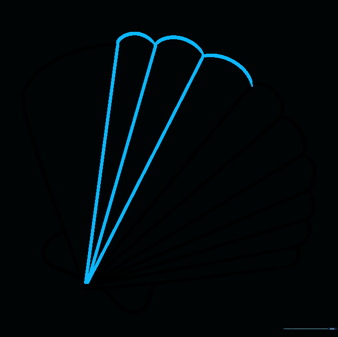 Adding final detail lines to the seashell to complete the ribbed texture.