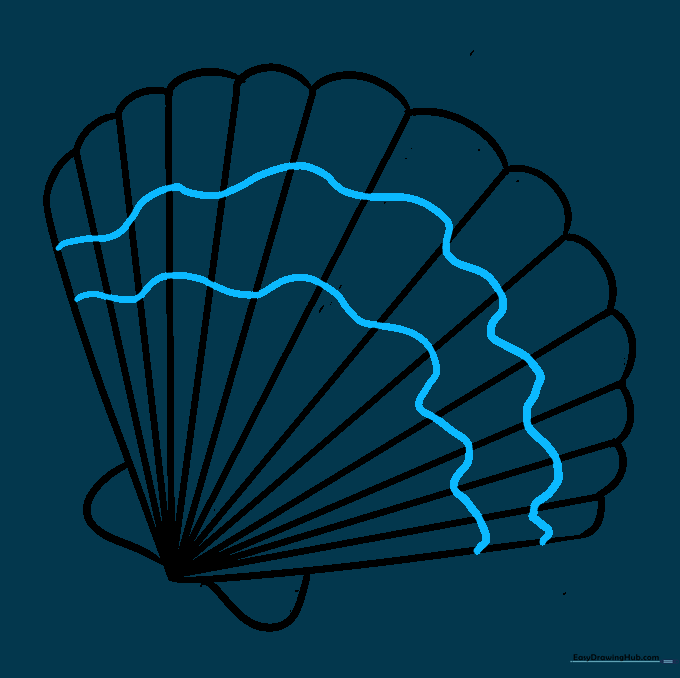 Drawing decorative wavy lines across the middle of the shell to add texture.