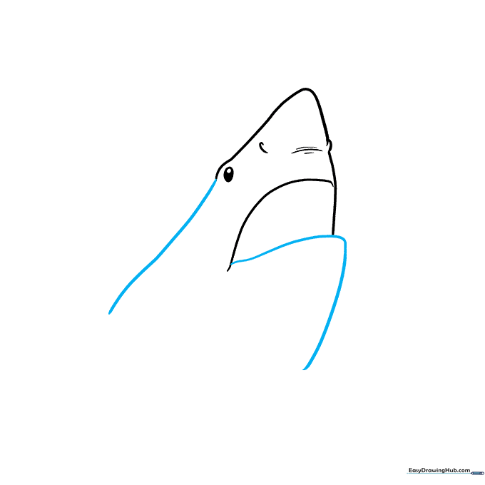 Drawing the shark's open mouth using a large triangle shape.