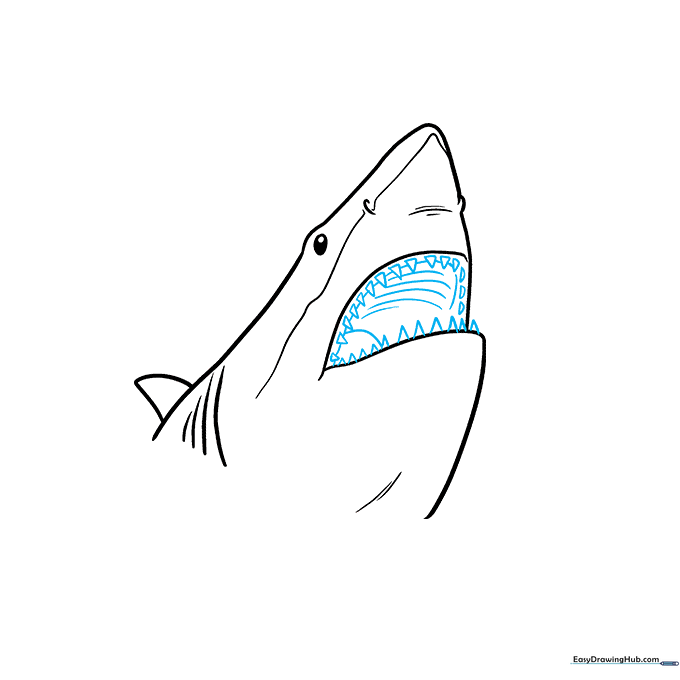 Detailed view of drawing sharp shark teeth and a tongue inside the mouth.