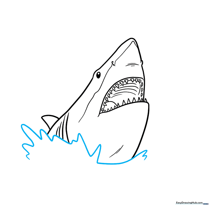 Adding a splash effect around the shark head using squiggly lines.