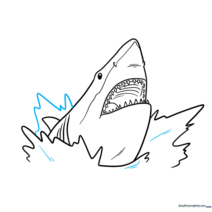 Adding background waves and bubble details to the shark drawing.