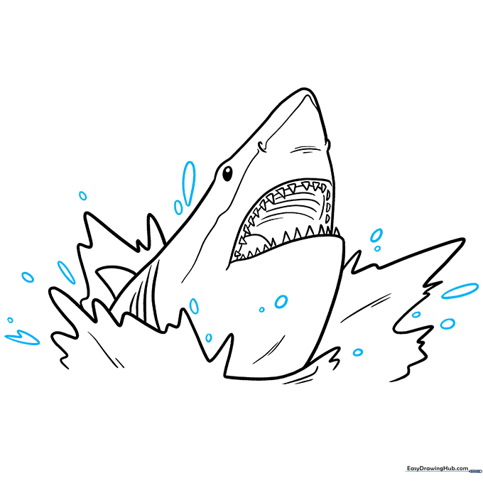 Final line art of the shark head with water splashes and bubbles.