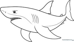 A completed, colorful cartoon shark drawing, perfect for kids to emulate.