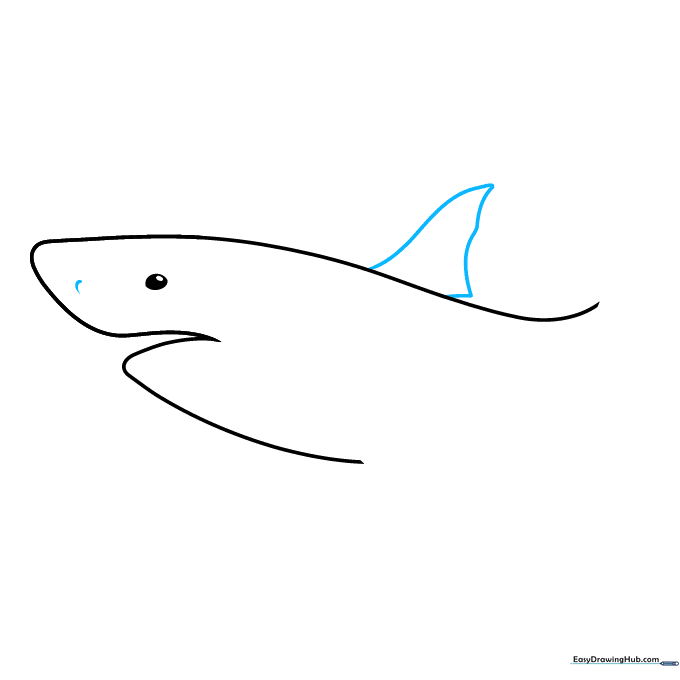 Drawing the shark's dorsal fin and nostril detail.