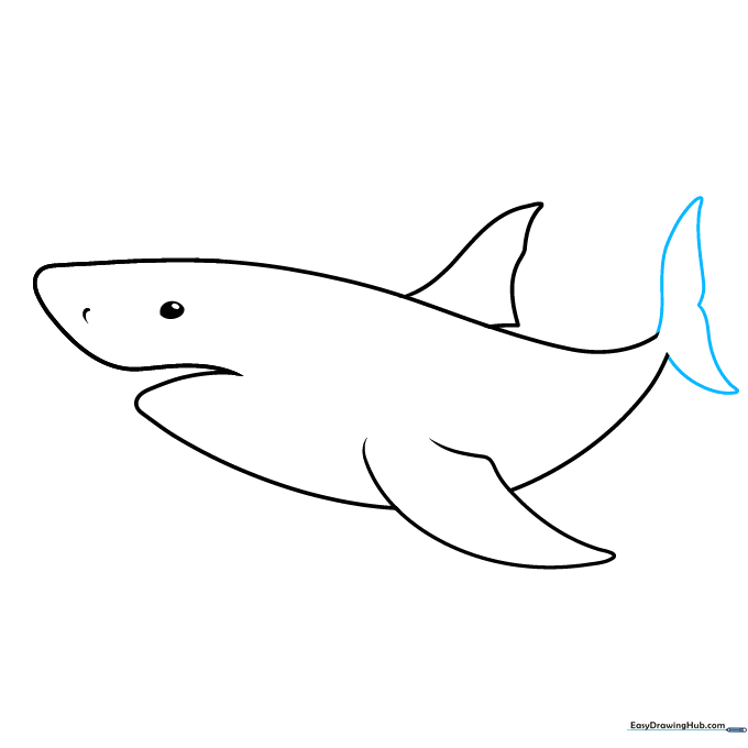 Completing the shark's tail fin with curved lines.