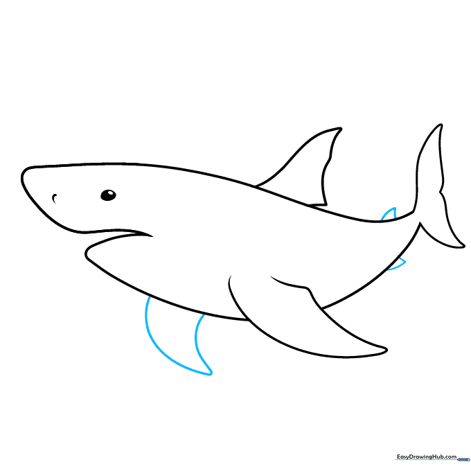 Adding additional stabilizing fins to the shark's body.