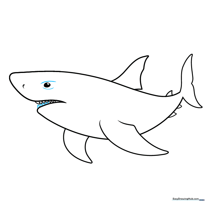 Adding detail to the shark's jaw and eye area.