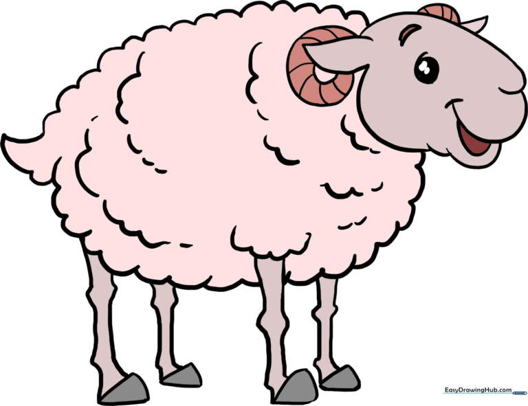 A friendly, cartoon-style sheep standing in a meadow, representing the completed drawing tutorial.