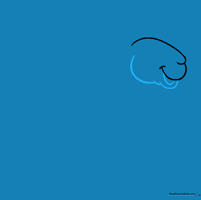 Drawing the sheep's lower jaw and mouth area using connected curved lines.