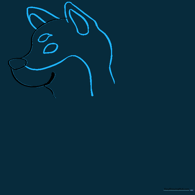 Drawing showing the addition of triangular ears, eye, and brow details to the Shiba Inu head.