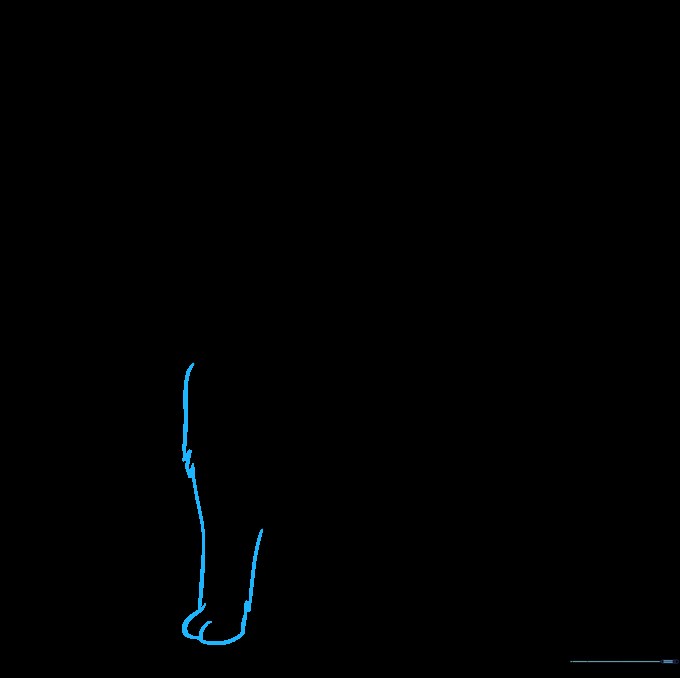 Drawing showing the second front leg added to the Shiba Inu's body.