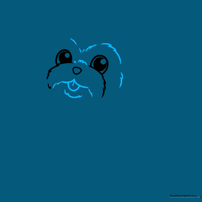 Drawing showing the addition of the Shih Tzu's jawline and a small tongue sticking out.