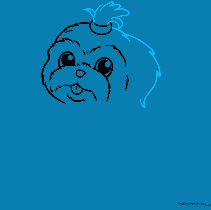 Illustration showing the addition of a ponytail and the first floppy ear.