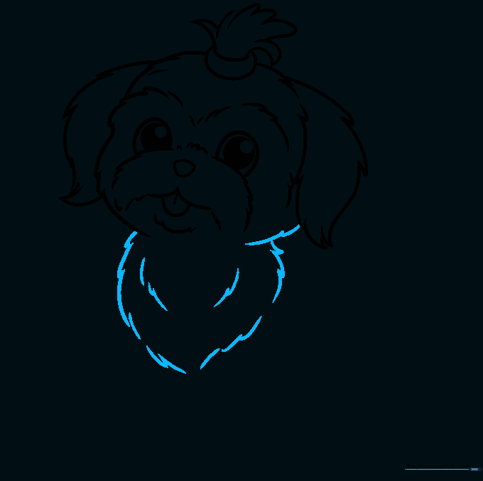 Drawing showing the addition of a shaggy chest area using jagged lines.