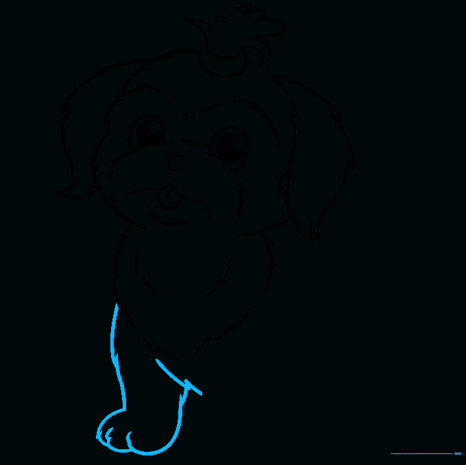 Illustration showing the addition of the first front leg and paw.