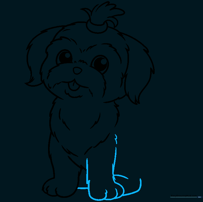 Drawing showing the addition of the second front leg and the start of the rear legs.