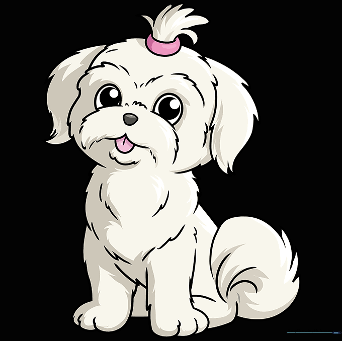 Final colored illustration of a cute, fluffy Shih Tzu with a bow.
